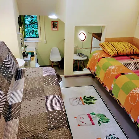 Student Home *